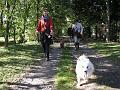 25ste Herfstwandeling van Armand en Judith op 23-10-2011 (23)
